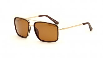 WE 3073 Matt Brown Polarized